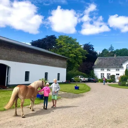 Lejlighed Ferienbauernhof Nuebbelhof Zum Kuhstall