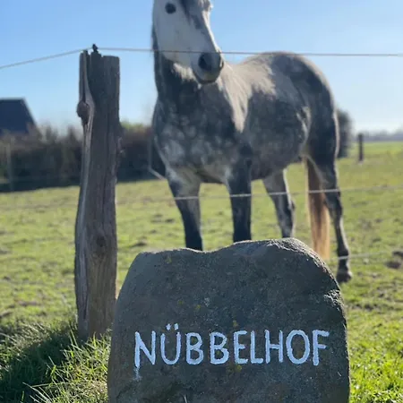 Ferienbauernhof Nuebbelhof Zum Kuhstall