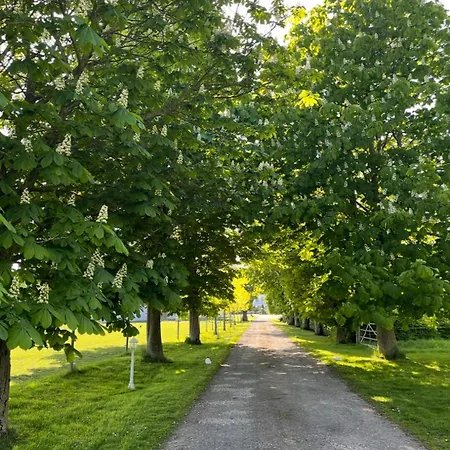 Lejlighed Ferienbauernhof Nuebbelhof Zum Kuhstall